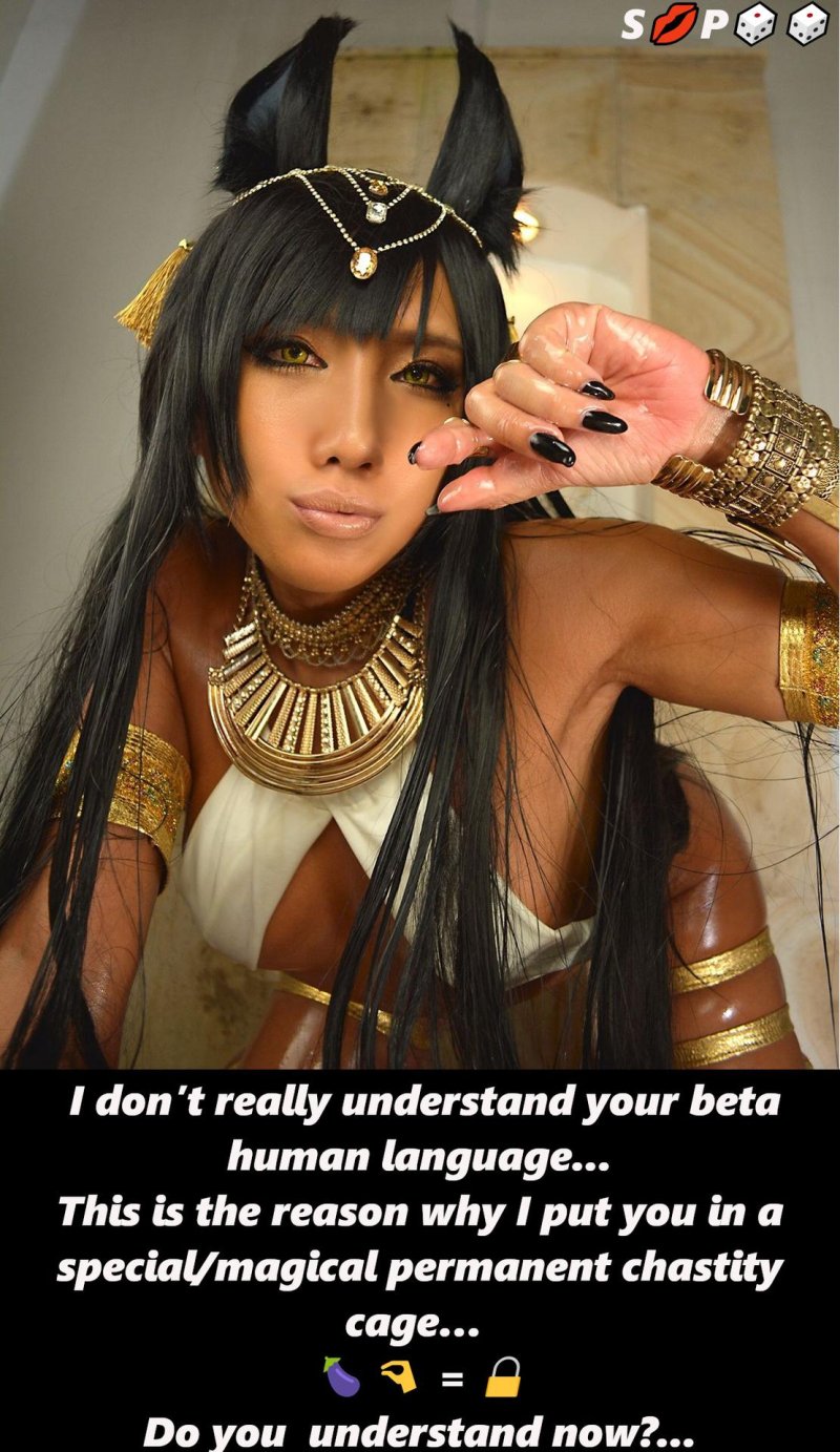 Nonsummerjack Anubis, Nonsummerjack Cleopatra, Nonsummerjack Anubis Bastet