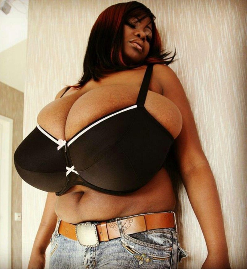 Miosotis Clarbel, Big Tits, Annie Hawkinsterer