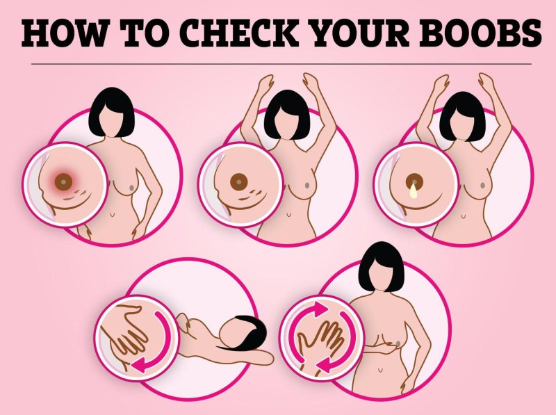 For breast augmentation, Self -examination of the mammary gland, Brows
