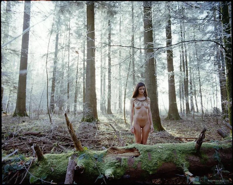 Girl in a pine forest nude, In the forest nude, In the forest erotica