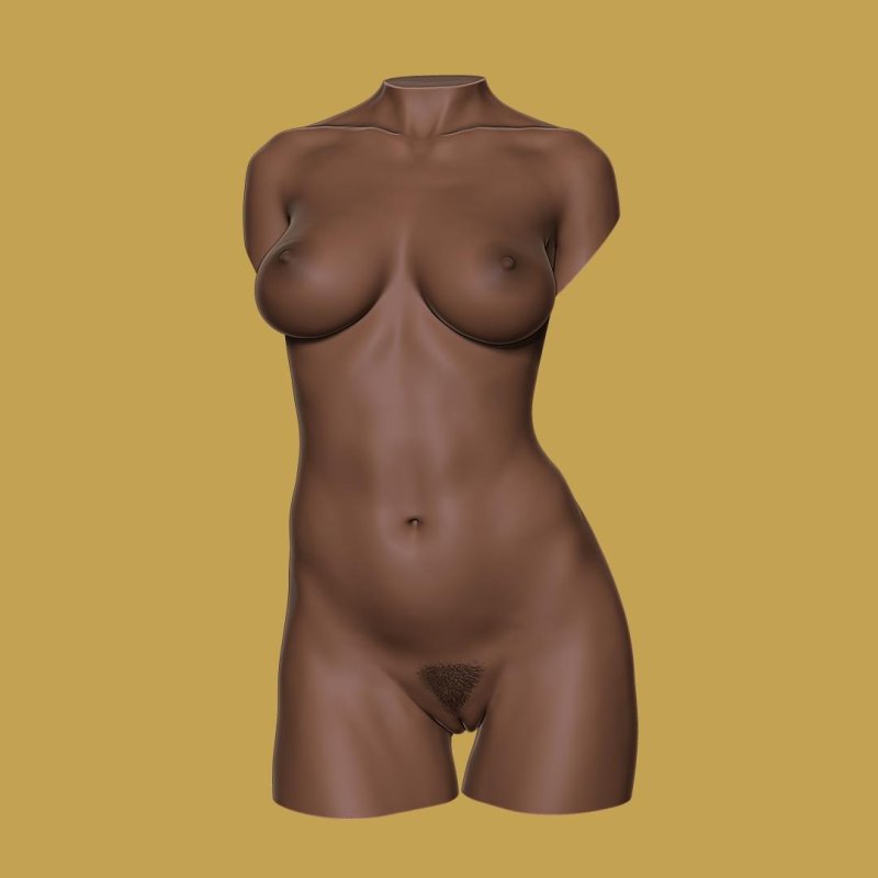 Naked female torso, Naked body of women, The female body is naked