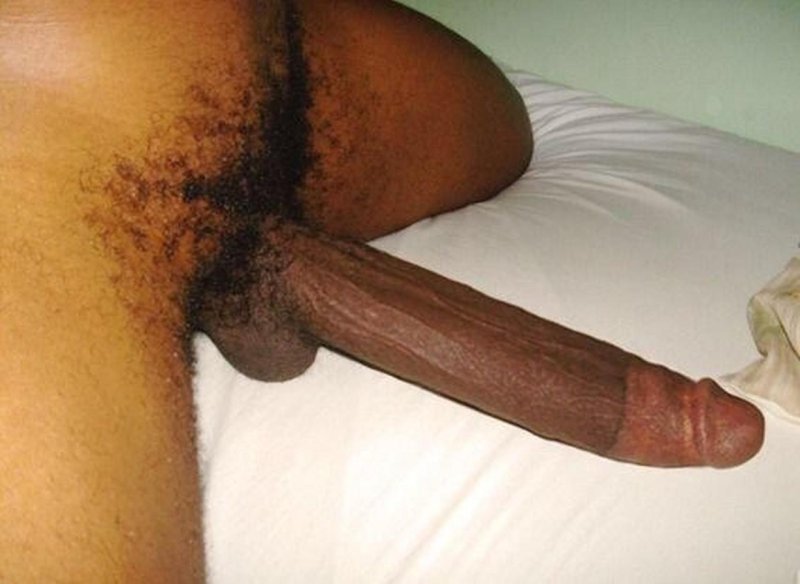 Negrova oxen, Big Black Dicks, The black member is big