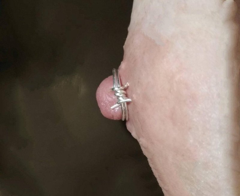 Ring of barbed wire, Nipple ring, Urethral plag Prince Albert