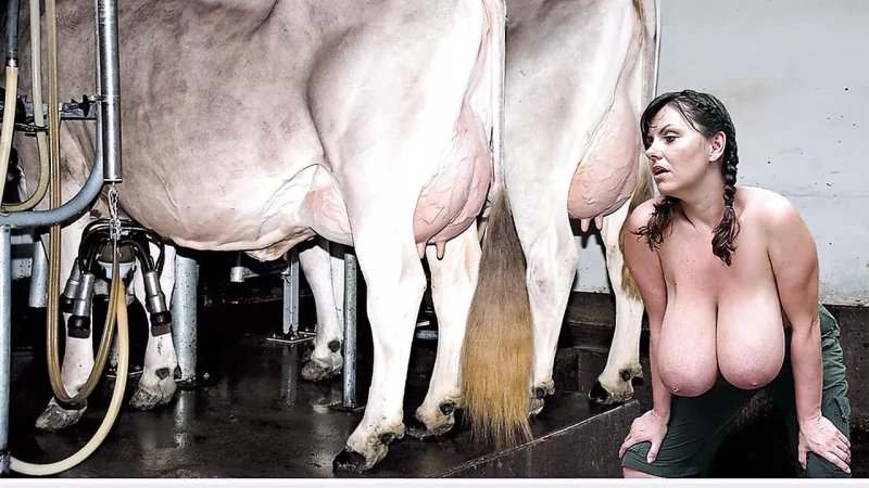Hucows Katarina Doeil apparatus, Korov milking, Draises a cow