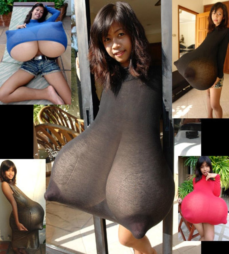 Ting Hiafen and Farang Ding Dong, Farang Ding Dong Big Bubs, Giant huge boobs Mastasia