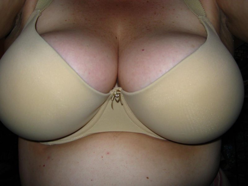 Tits in a bra, Breasts in a bra, Female breasts in a bra